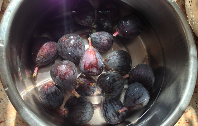 Figs being washed