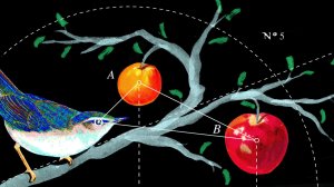 bird_diagram_final_wide-f57ad53cb648cd6a830907907811e189be432798-s1400-c85