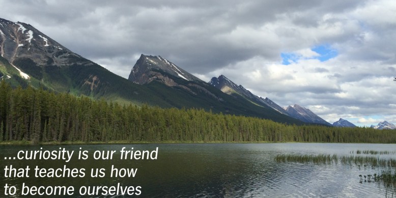 curiosity1