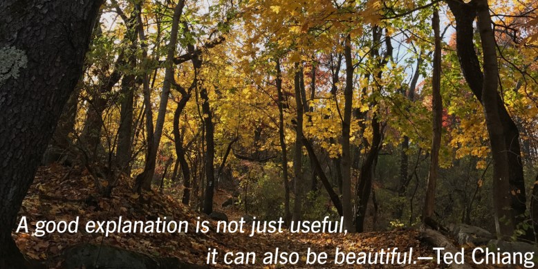 good-explanation-alt-b